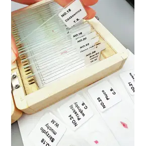 ZESTAW EDUKACYJNY MODELE PREPARATÓW MIKROSKOPOWYCH PRZEKRÓJ PRÓBKI SZKIEŁKA