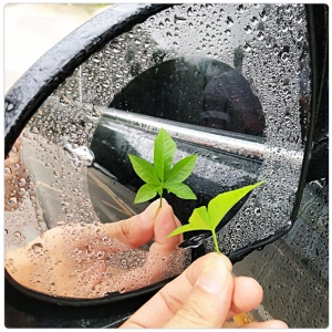 NANO FOLIA PRZECIWDESZCZOWA NA LUSTERKA SAMOCHODU