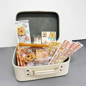 KAPIBARA ARTYKUŁY PAPIERNICZE W WALIZCE MEGA ZESTAW XXL KARTECZKI GUMKI