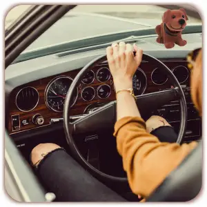 PIES Z KIWAJĄCĄ GŁOWĄ FIGURKA RETRO PSA JAMNIKA GADŻET PRL Z LAT 80 90 18CM