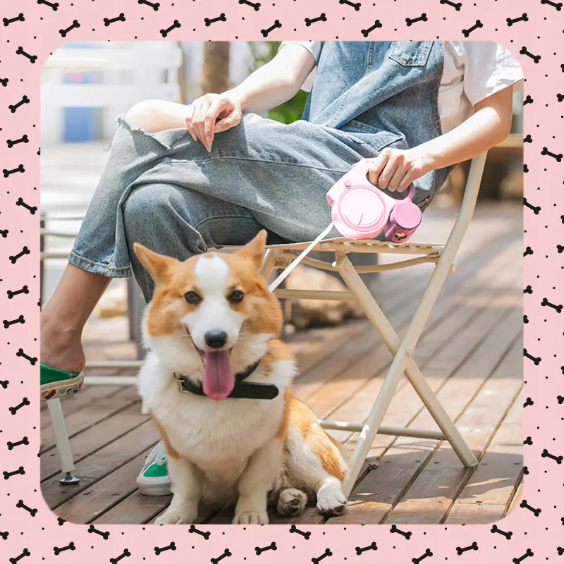 SMYCZ DLA PSA DŁUGA AUTOMATYCZNA BLOKADA ODBLASK POJEMNIK NA WOREK LATARKA