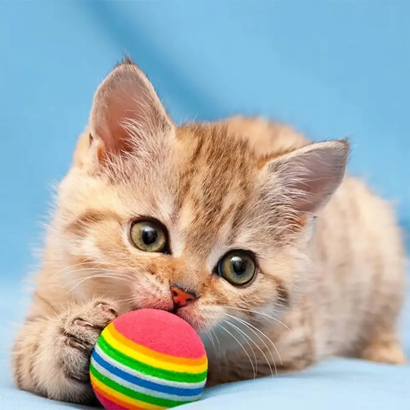 ZABAWKI DLA KOTA 21 EL ZESTAW ZABAWEK XXL TUNEL DOMEK 80CM PIŁKI WĘDKA MYSZ