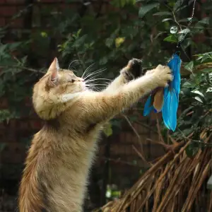 ZABAWKI DLA KOTA 21 EL ZESTAW ZABAWEK XXL TUNEL DOMEK 80CM PIŁKI WĘDKA MYSZ