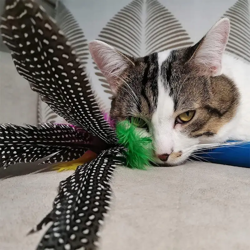 ZABAWKI DLA KOTA 21 EL ZESTAW ZABAWEK XXL TUNEL DOMEK 80CM PIŁKI WĘDKA MYSZ