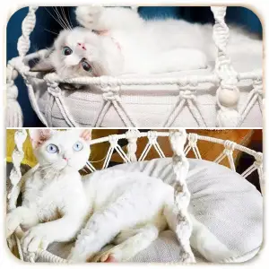 HAMAK LEGOWISKO DLA KOTA BOHO MAKRAMA WISZĄCY POD SUFIT 40x40CM + PODUSZKA