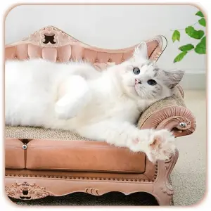 DRAPAK TEKTUROWY DLA KOTA SOFA KANAPA LEGOWISKO KARTON LEŻAK LEGOWISKO 57CM