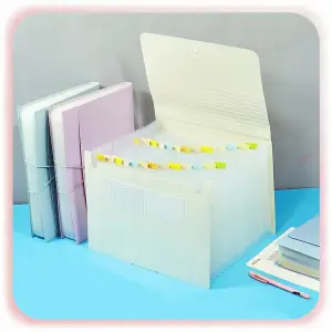 TECZKA HARMONIJKOWA NA DOKUMENTY A4 ORGANIZER Z 26 PRZEGRÓDEK KIESZENIAMI