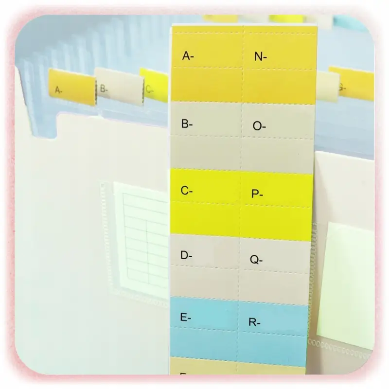 TECZKA HARMONIJKOWA NA DOKUMENTY A4 ORGANIZER Z 26 PRZEGRÓDEK KIESZENIAMI