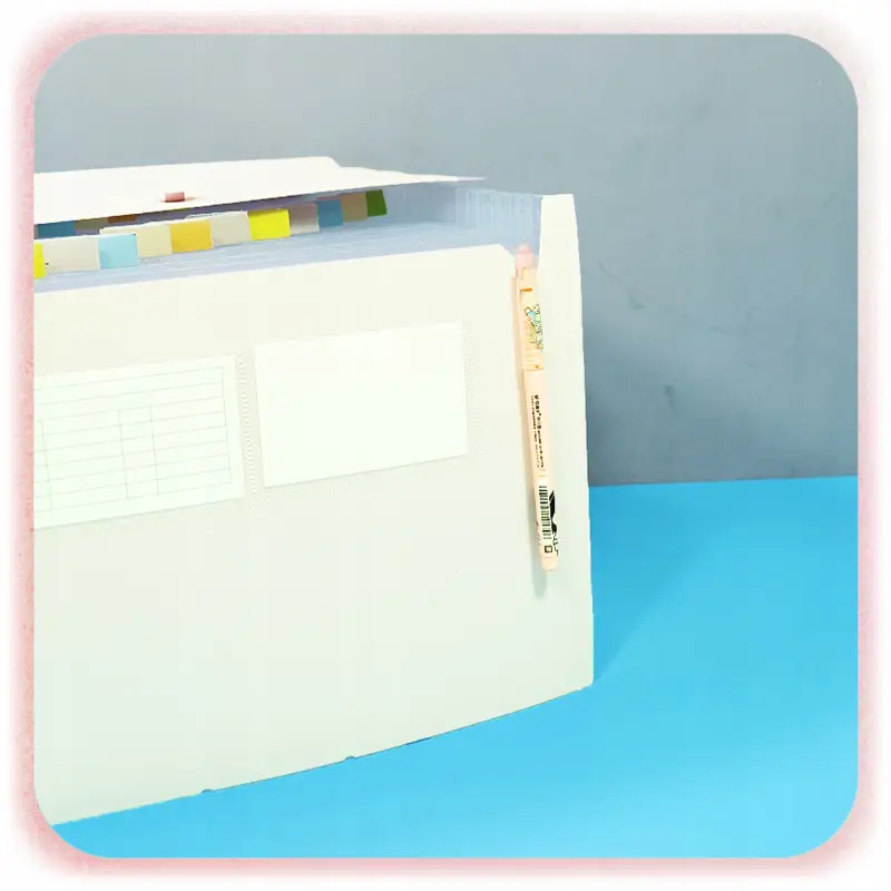 TECZKA HARMONIJKOWA NA DOKUMENTY A4 ORGANIZER Z 26 PRZEGRÓDEK KIESZENIAMI