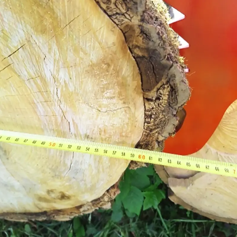 SZCZYPCE SAMOZACISKOWE HDS KLESZCZE DO PRZENOSZENIA DREWNA CHWYTAK 600mm