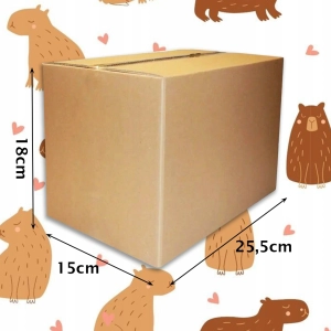 KAPIBARA CREATIVE BOX XXL TWÓRZ BRELOKI OZDOBY BIŻUTERIĘ DEKORACJE 300+ EL