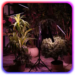 4x LAMPA DO ROŚLIN LED NA STATYWIE Uprawy Wzrostu Doświetlania Panel +PILOT